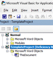 Detail of Microsoft VBA editor window